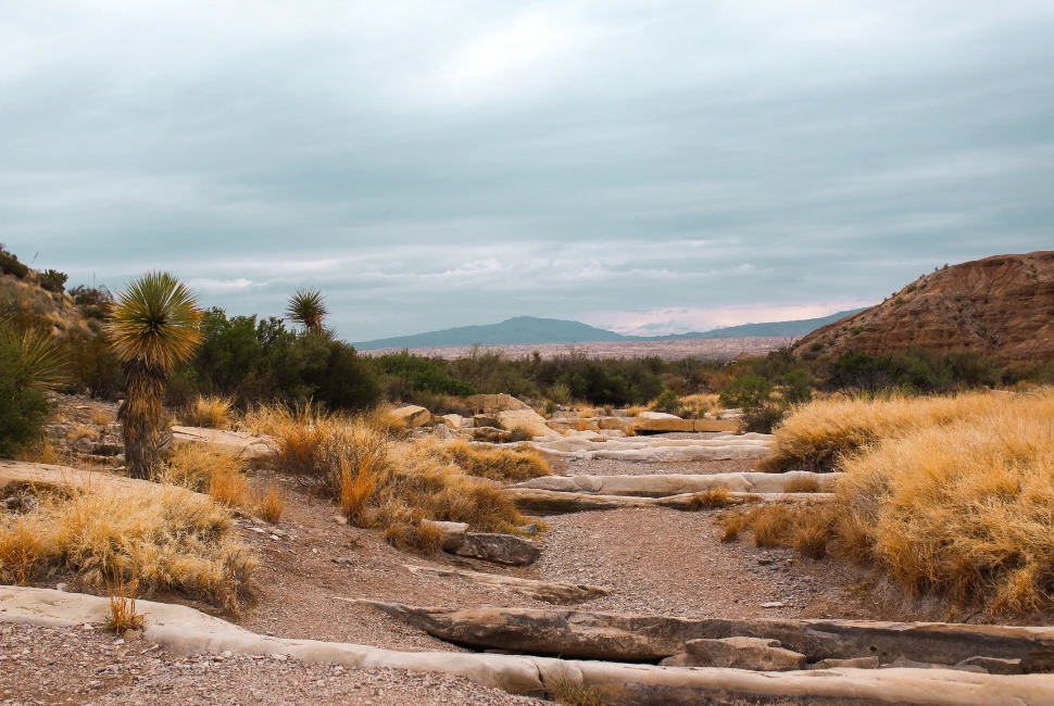 Exploring Beyond Midland: Epic Road Trips to Take from Midland, TX